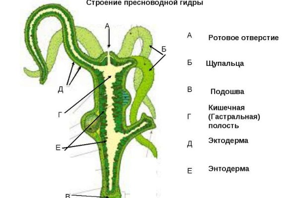 Какая ссылка на кракен