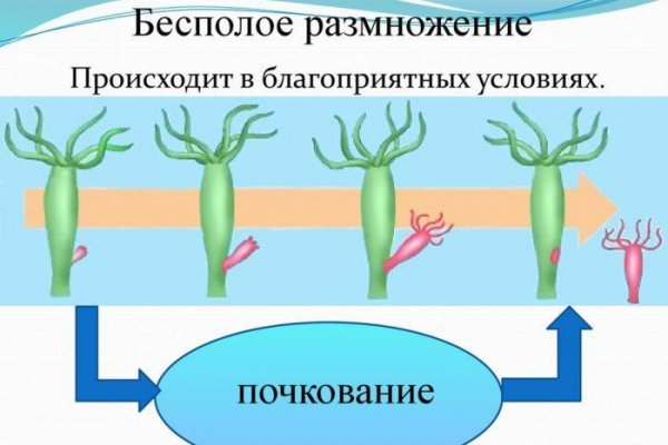 Кракен 17 рабочая ссылка