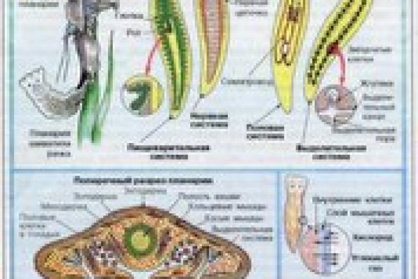 Ссылка на сайт кракен в тор